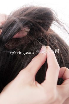 DIY赵薇性感甜心米妮头　俏皮气质 zaoxingkong.com