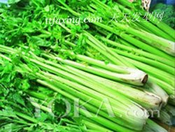 认清这些食物 伤你皮肤没商量 zaoxingkong.com