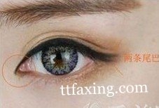 化眼妆的步骤教程 各类眼型的眼妆步骤集合 zaoxingkong.com