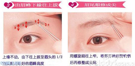 怎样修适合自己的眉型 瞬间让你的眉毛更显活力 zaoxingkong.com