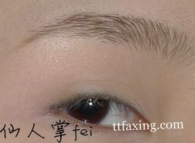 怎样自己修眉毛才好看 在家修眉毛真的不难 zaoxingkong.com