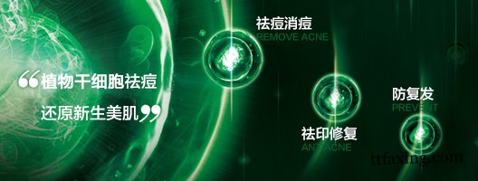 美国科学院称干细胞祛痘将被评为诺贝尔奖 zaoxingkong.com