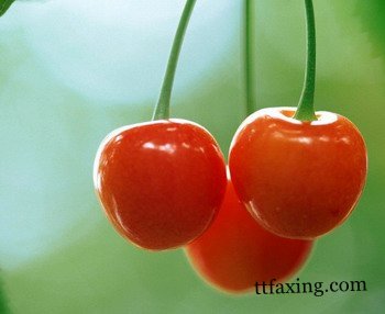盘点哪些水果可以美白图解 是吃出的自然白哦 zaoxingkong.com