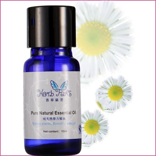 揭晓洋甘菊精油的用法 看神奇洋甘菊如何护肤 zaoxingkong.com