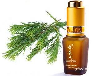 教你茶树精油的使用方法 美容护肤舒缓压力 zaoxingkong.com