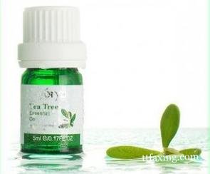 教你茶树精油的使用方法 美容护肤舒缓压力 zaoxingkong.com