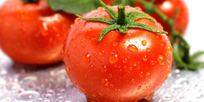 怎么使用番茄美白 番茄自制美白面膜及蔬果汁 zaoxingkong.com